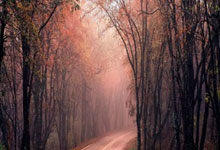 开云官方网站 -欧洲篮球联赛三四名决赛